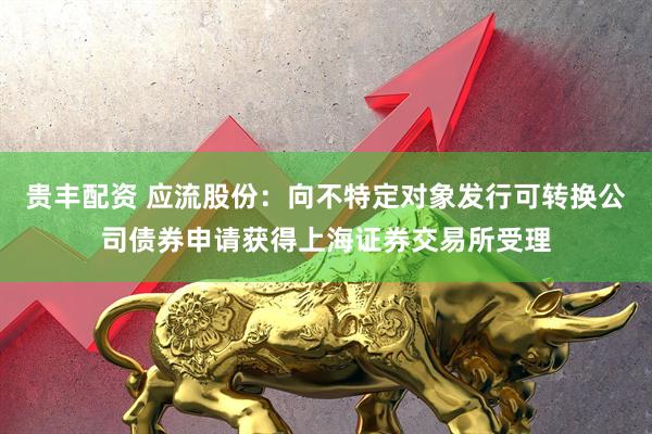 贵丰配资 应流股份：向不特定对象发行可转换公司债券申请获得上海证券交易所受理