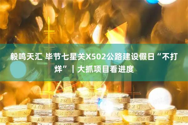毅鸣天汇 毕节七星关X502公路建设假日“不打烊”｜大抓项目看进度