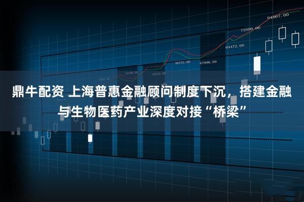 鼎牛配资 上海普惠金融顾问制度下沉，搭建金融与生物医药产业深度对接“桥梁”