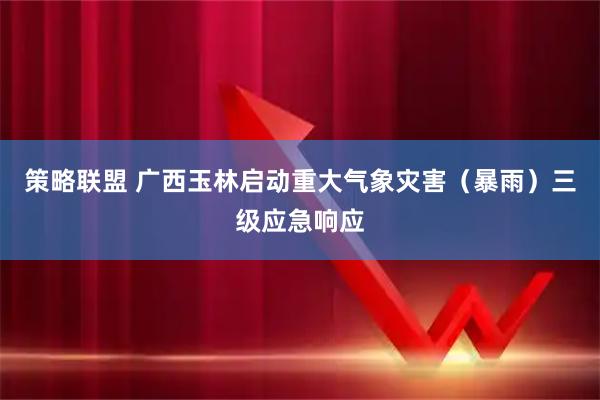 策略联盟 广西玉林启动重大气象灾害（暴雨）三级应急响应